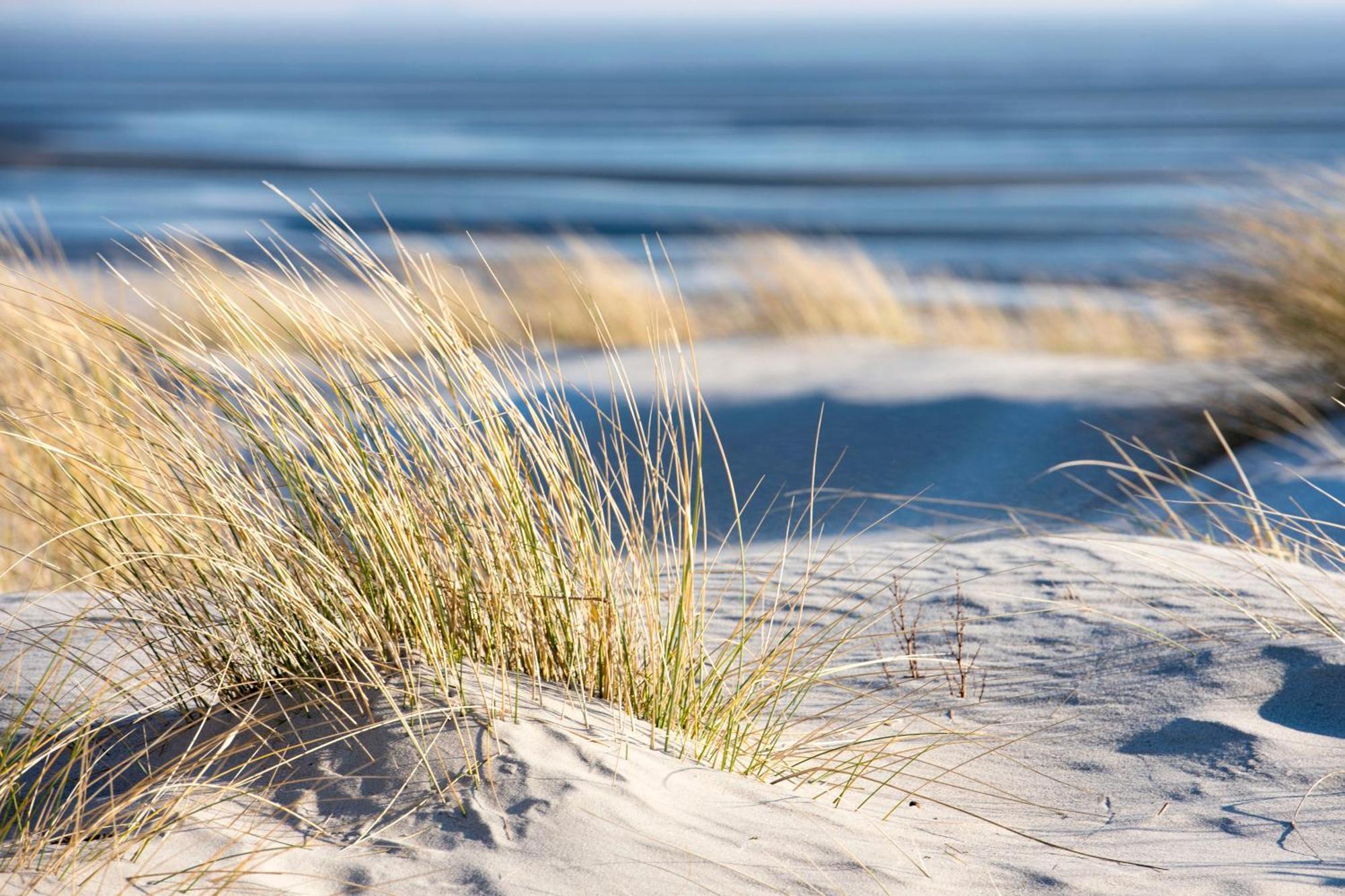Baumzeltdorf Ostseebreeze Direkt Am Strand Dranske Bagian luar foto
